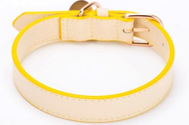 New design-Classical quality pet collars leash/dog collar