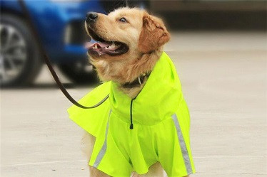 dog reflective raincoat/pet raincoat dog clothes in raining