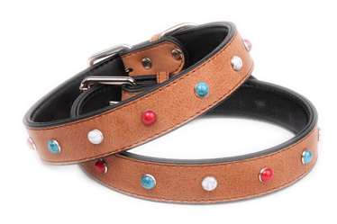 Genuine leather dog collars pet collars,pet products