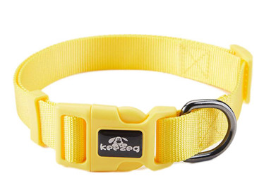 Solid Nylon puppy dog collars,leashes/pet supplies(KC0100)