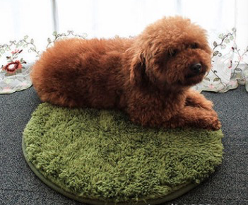 peach velvet pet mat.