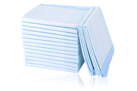 pet training pad