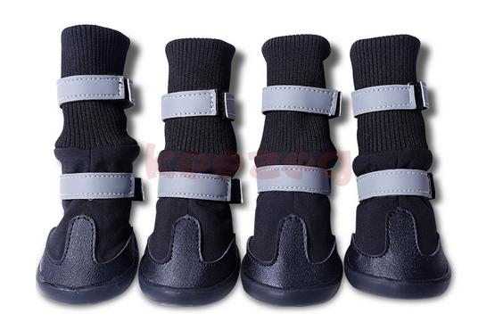 pet shoes
