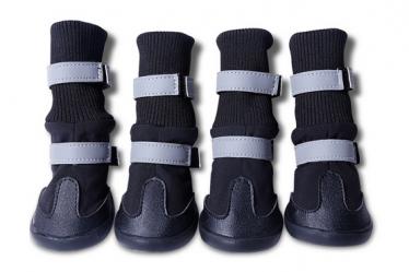 pet shoes