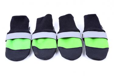 pet shoes
