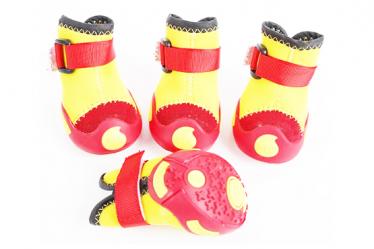 pet shoes