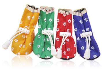 DOG SHOES