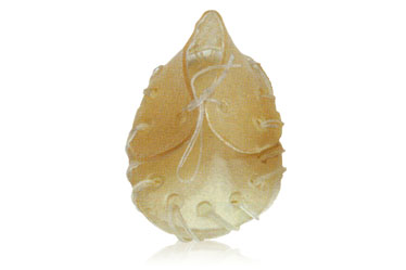 dog chews series7215