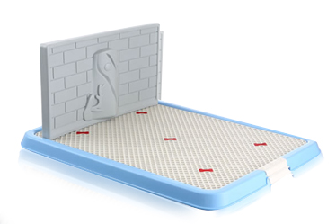 Training litter boxes with wall