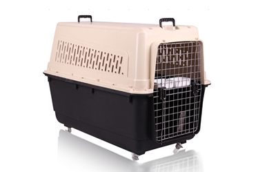 pet carrier
