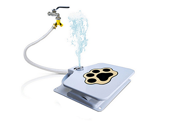 pet paw water drinking foundation