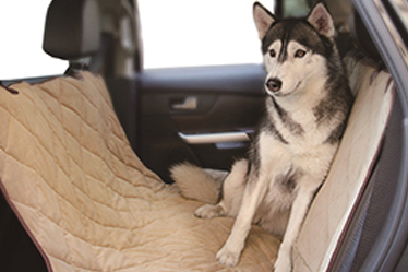 pet car booster