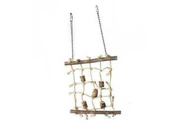 bird toys