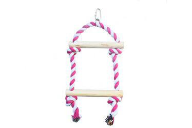 bird toys
