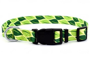 Quality Pet collar leash and harness for small medium dog