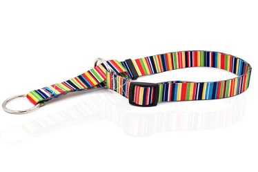 China Pet collar  leash and harness for small medium dogs
