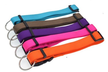 Good quality Nylon pet collars
