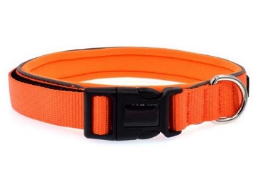 Nylon dog collar