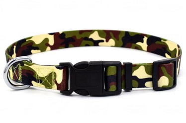 Quality Pet collar leash and harness for small medium dog