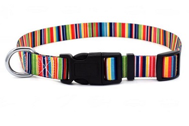 Beautiful quality collar leash and harness for small medium dog