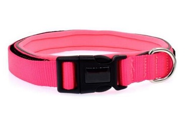 Nylon dog collar