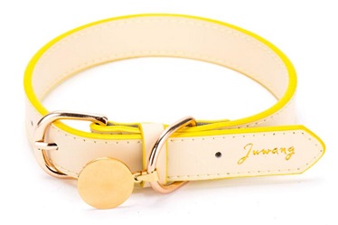 New design-Classical quality pet collars leash/dog collar