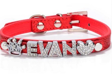DIY Leather dog collars/pet products