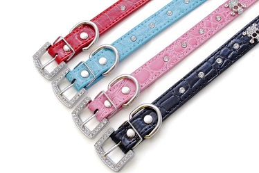 Crocodile Skull dog pet collars