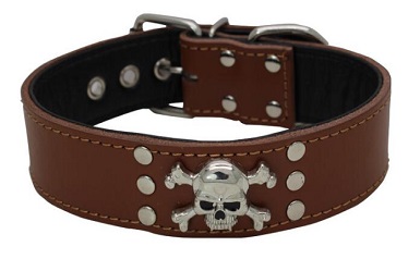 SKull classical dog collars/pet leather collar leash