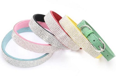 China quality dog collars for small medium large dog cats/pet supply