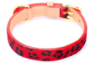 horse hair classical pet dog collars leashes/pet products