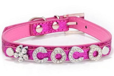 DIY Leather dog collars/pet products