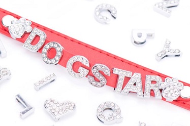 DIY Real leather dog collars leashes with bling bling /Pet products