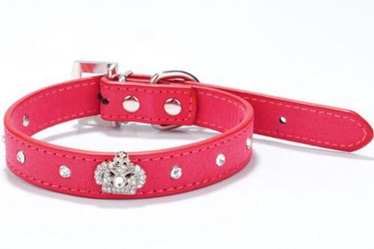 Pet supply/dog cat collars leashes matching for small medium large dogs