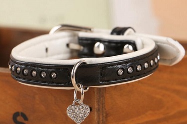 Classical leather dog collars leashes/pet supply
