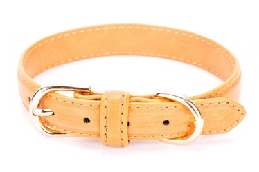 Four colors protrusion Real leather dog collars leashes/pet products