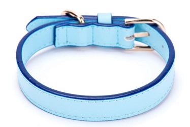 New design-Classical quality pet collars leash/dog collar