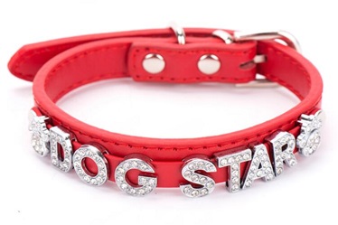 DIY Real leather dog collars leashes with bling bling /Pet products