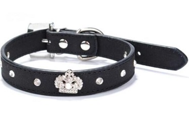 Pet supply/dog cat collars leashes matching for small medium large dogs