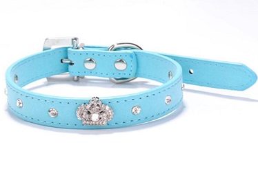 Pet supply/dog cat collars leashes matching for small medium large dogs