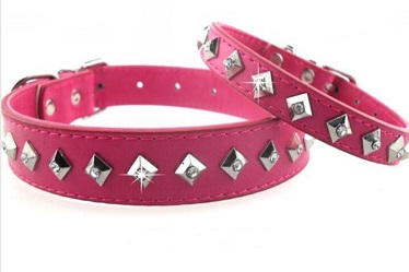 Beautiful quality collar leash and harness for small medium dog