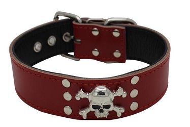 SKull classical dog collars/pet leather collar leash