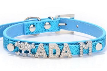 DIY Leather dog collars/pet products