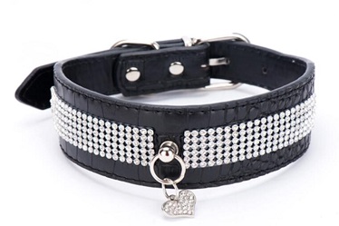 Pet products/PU leather pet collars leashes for medium and large dog
