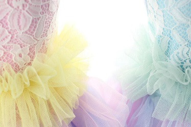 Elegant pet princess skirt /dog wedding clothes