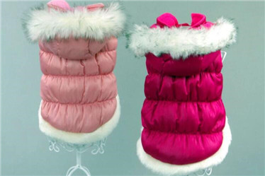 Pet Products/Fashion Pet Clothes Supply Products Dog Coat