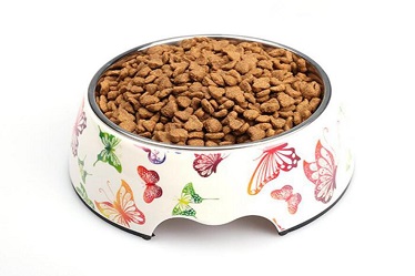 Butterfly Pattern Melamine&Stainless Steel Pet Dog Food Bowl