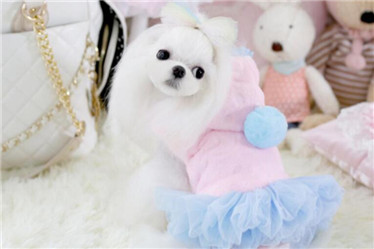 Pet Products/ Pet Fleece Skirt/Dog Winter Clothes