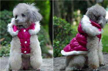 Pet Products/Fashion Pet Clothes Supply Products Dog Coat
