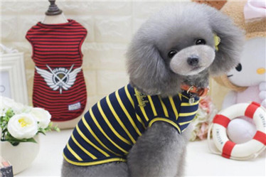 Classical Stripe Pet T-Shirt /Pet Dog Clothes for summer